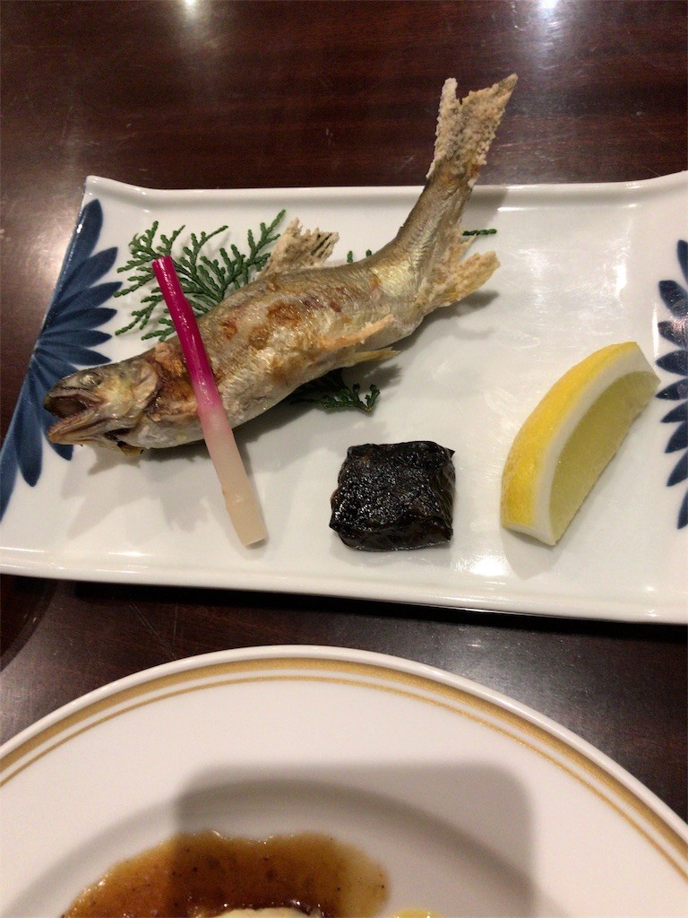 f:id:aiga:20190429205552j:image