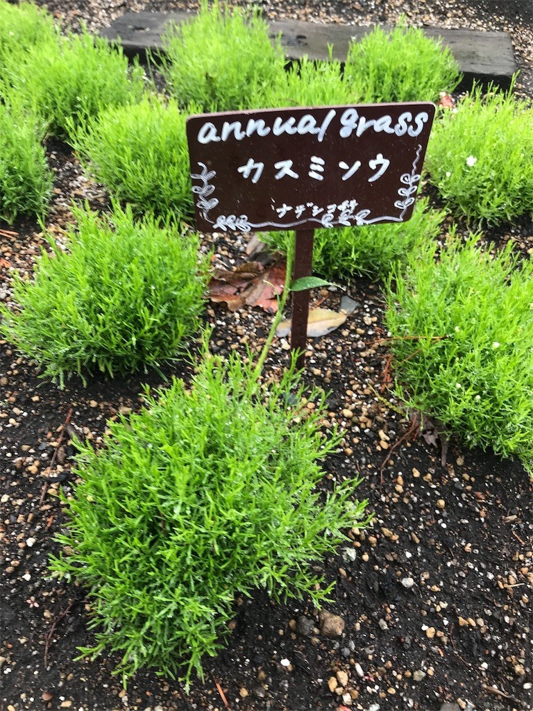 f:id:aiga:20190430222658j:image