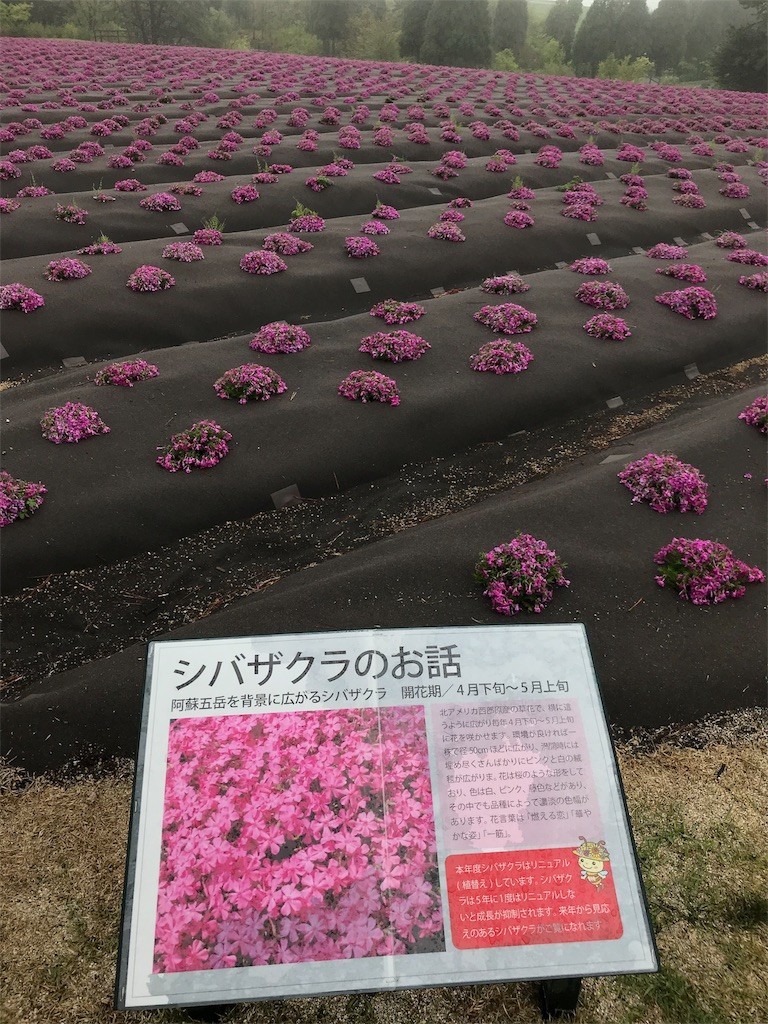 f:id:aiga:20190430222722j:image