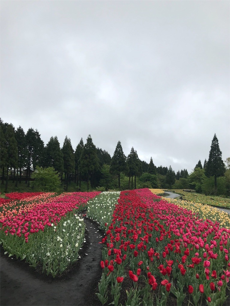f:id:aiga:20190430222912j:image