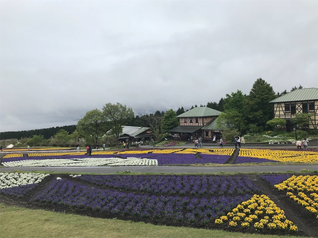 f:id:aiga:20190430223042j:image