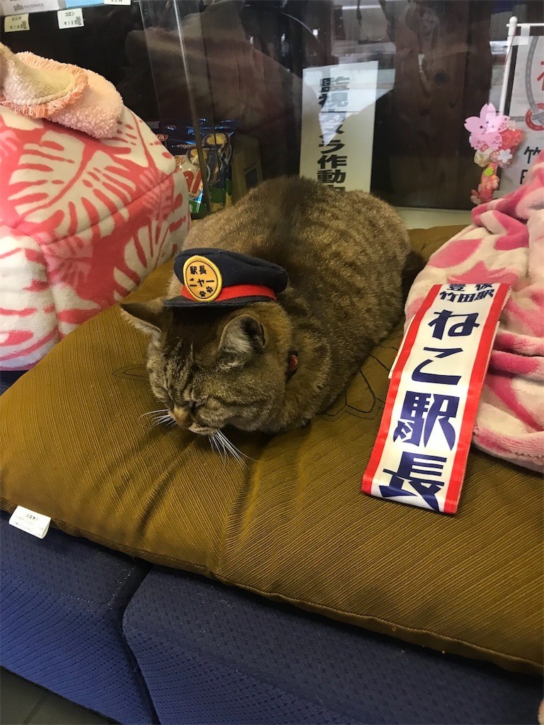 f:id:aiga:20190430224432j:image