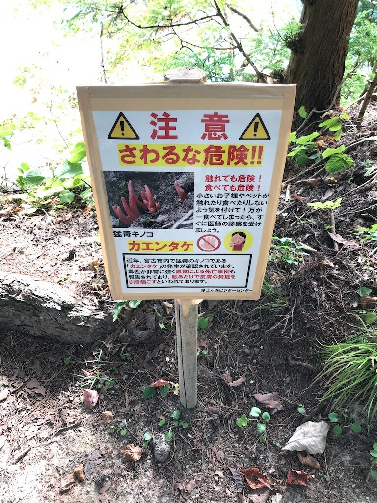 f:id:aiga:20231009111000j:image