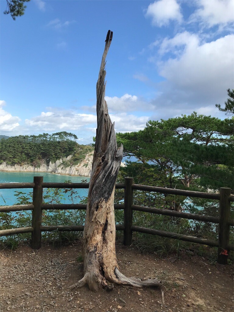 f:id:aiga:20231009111457j:image