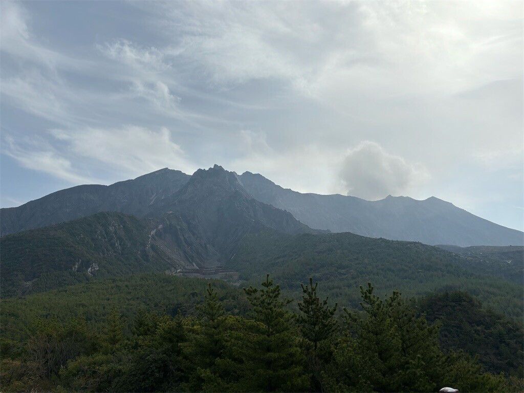 f:id:aiga:20240304175810j:image