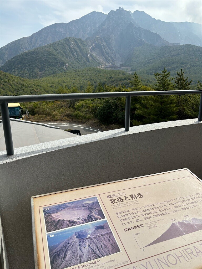 f:id:aiga:20240304180009j:image