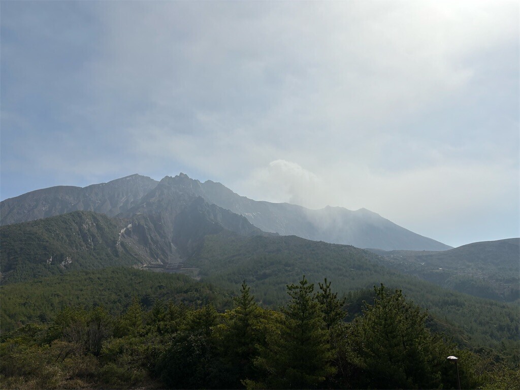 f:id:aiga:20240304180506j:image