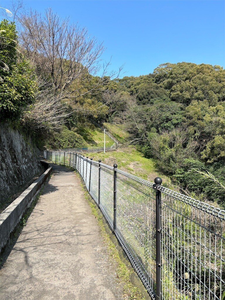 f:id:aiga:20240304185731j:image