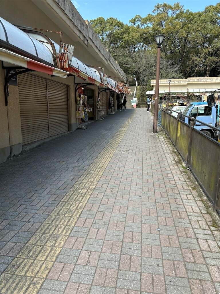 f:id:aiga:20240304185909j:image