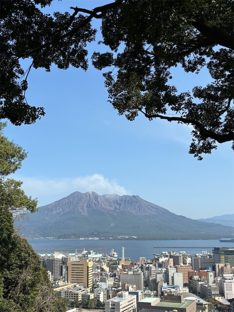 f:id:aiga:20240304190430j:image