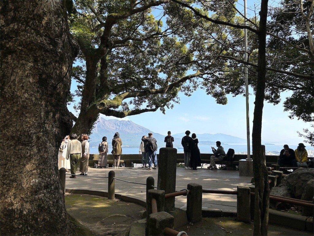 f:id:aiga:20240304190900j:image