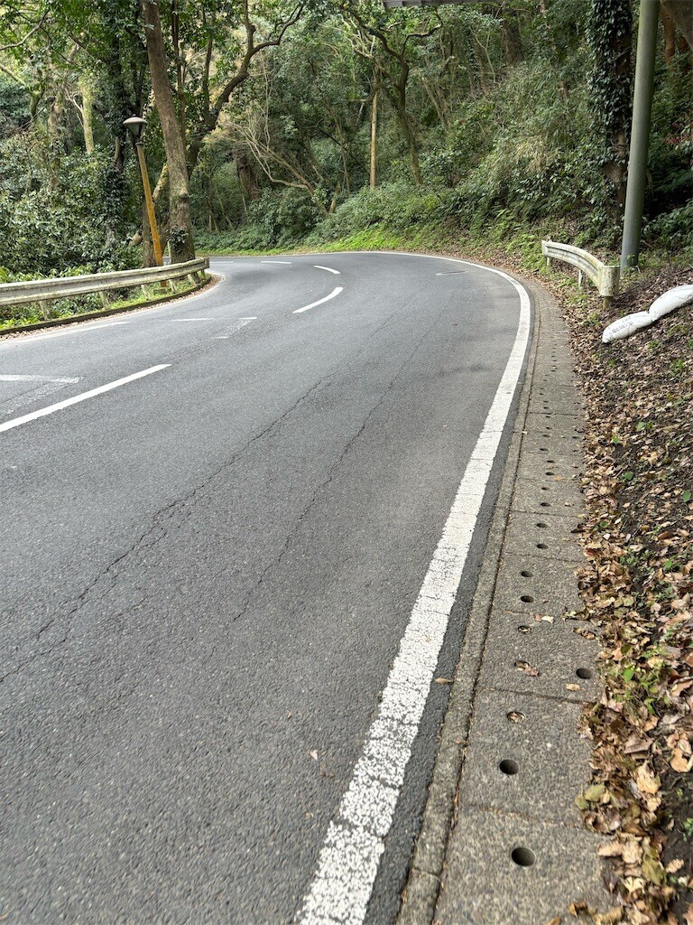 f:id:aiga:20240304191731j:image