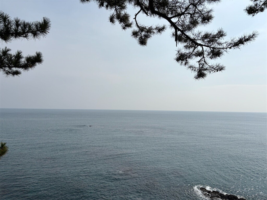 f:id:aiga:20260216113409j:image