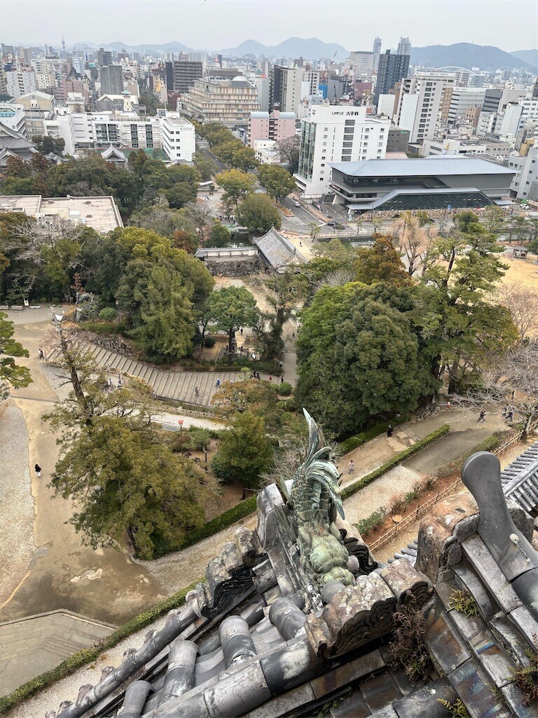 f:id:aiga:20260216141656j:image