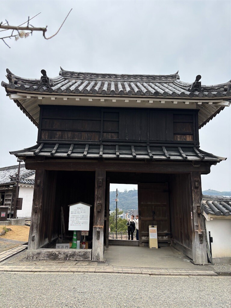 f:id:aiga:20260216143203j:image