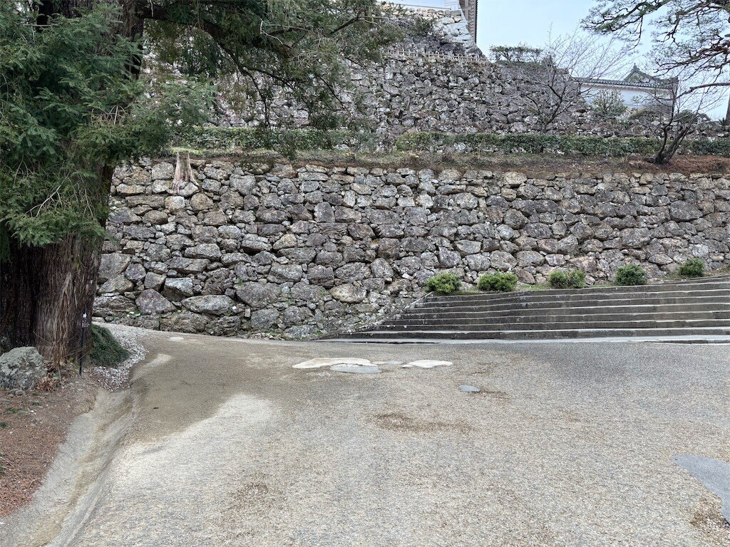 f:id:aiga:20260216144159j:image