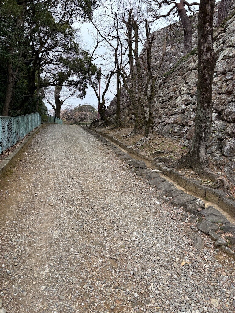 f:id:aiga:20260217111513j:image