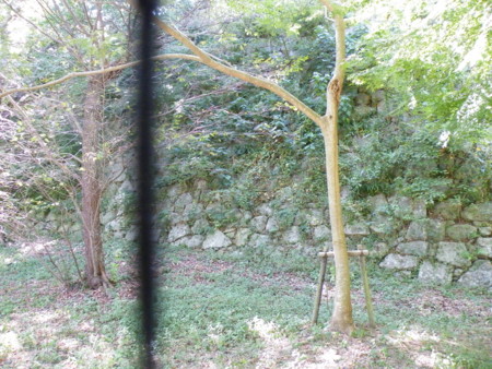 f:id:aigawa2007:20100827232231j:image