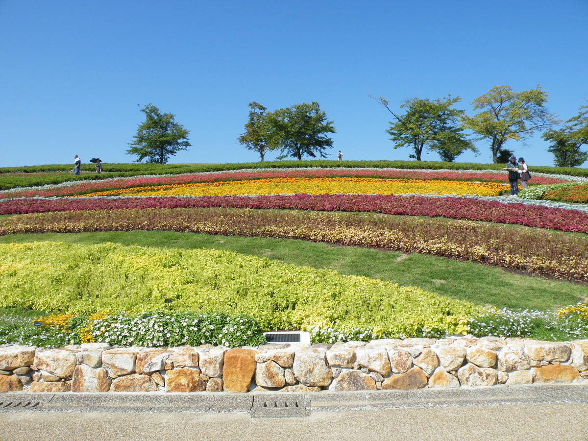 f:id:aigawa2007:20101007103509j:plain