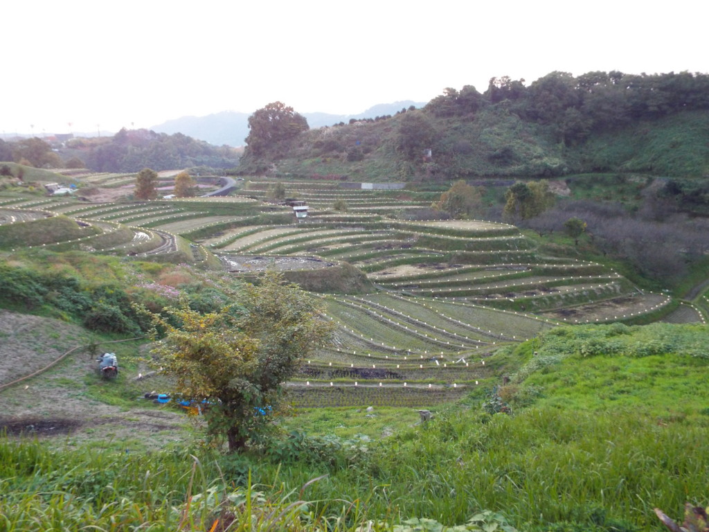 f:id:aigawa2007:20161112165835j:plain f:id:aigawa2007:20161112165835j:plain