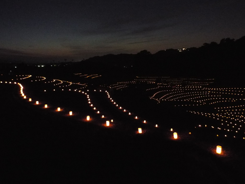 f:id:aigawa2007:20161112174255j:plain f:id:aigawa2007:20161112174255j:plain