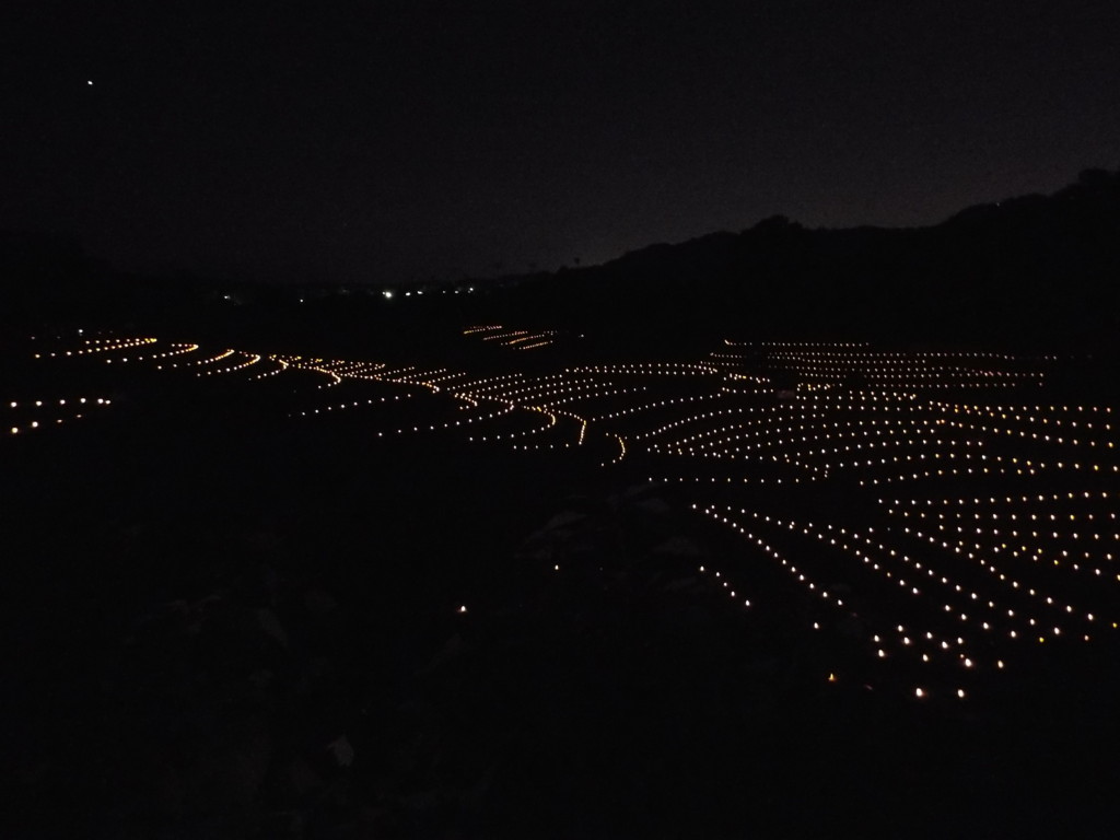 f:id:aigawa2007:20161112175650j:plain f:id:aigawa2007:20161112175650j:plain