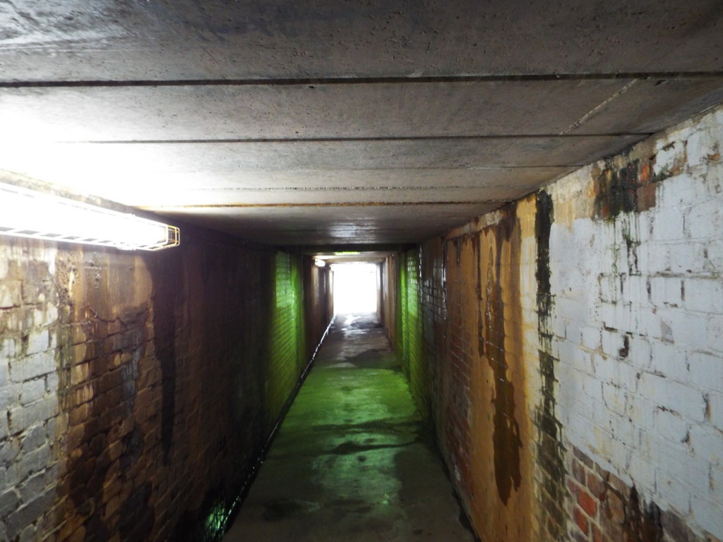 f:id:aigawa2007:20171122131229j:plain f:id:aigawa2007:20171122131229j:plain