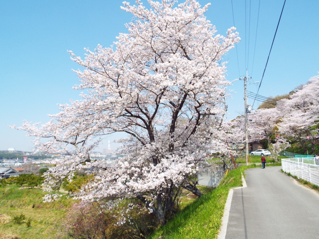 f:id:aigawa2007:20180328120124j:plain f:id:aigawa2007:20180328120124j:plain