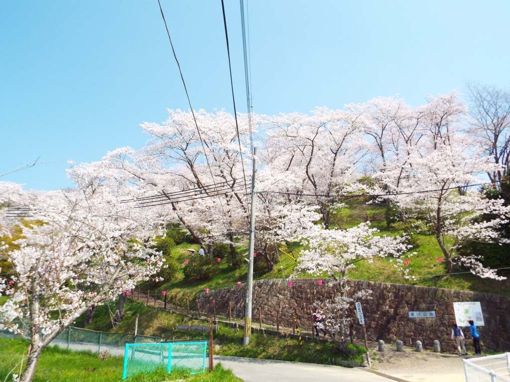 f:id:aigawa2007:20180328120148j:plain f:id:aigawa2007:20180328120148j:plain