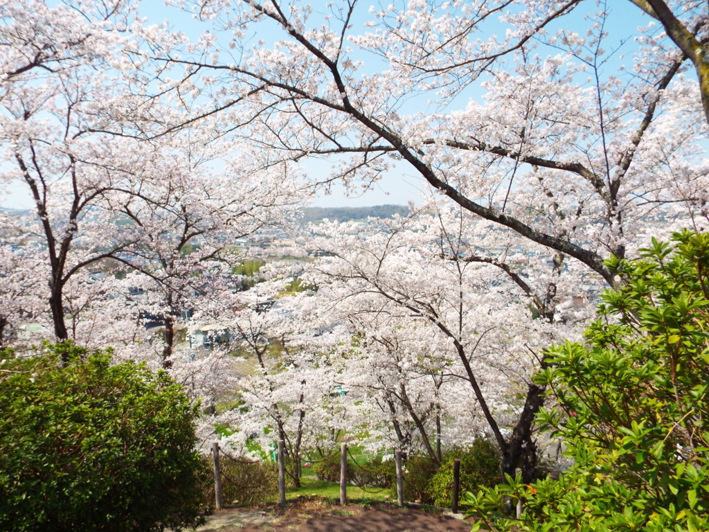 f:id:aigawa2007:20180328120443j:plain f:id:aigawa2007:20180328120443j:plain