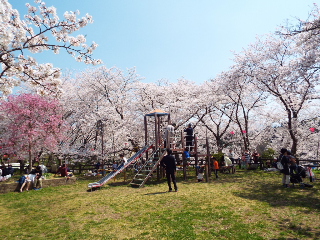 f:id:aigawa2007:20180328120747j:plain f:id:aigawa2007:20180328120747j:plain