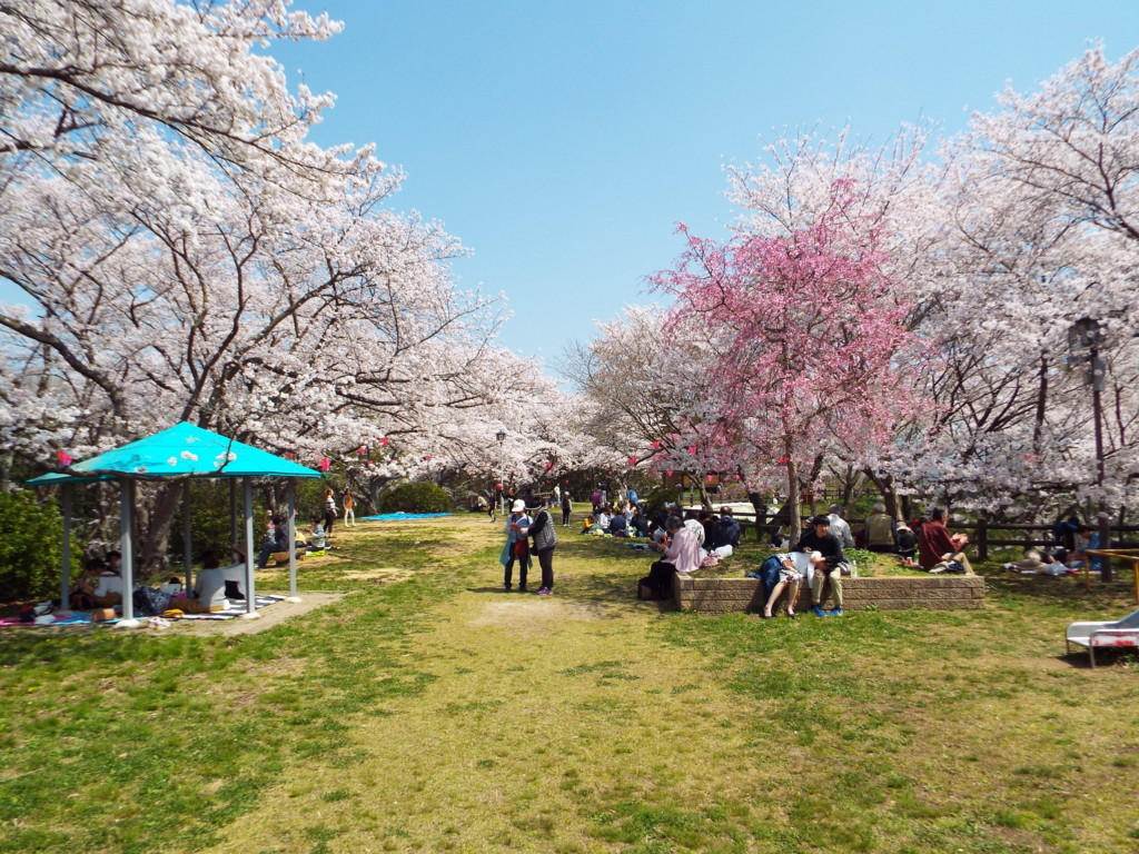f:id:aigawa2007:20180328120754j:plain f:id:aigawa2007:20180328120754j:plain