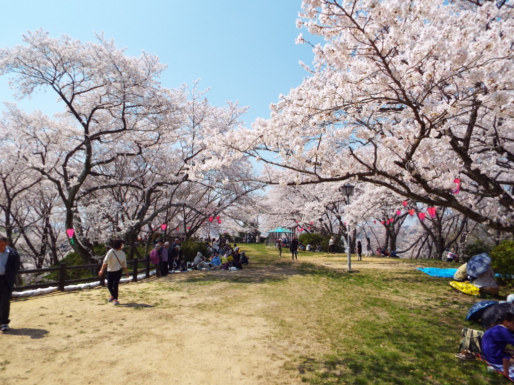 f:id:aigawa2007:20180328120908j:plain f:id:aigawa2007:20180328120908j:plain