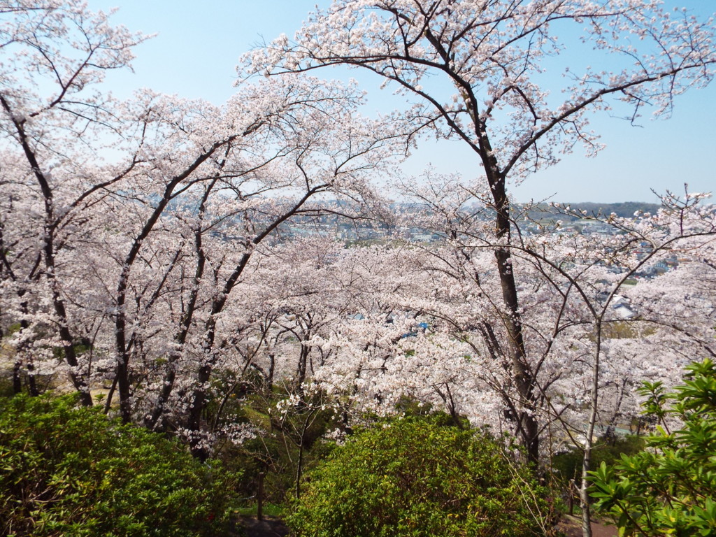 f:id:aigawa2007:20180328121107j:plain f:id:aigawa2007:20180328121107j:plain