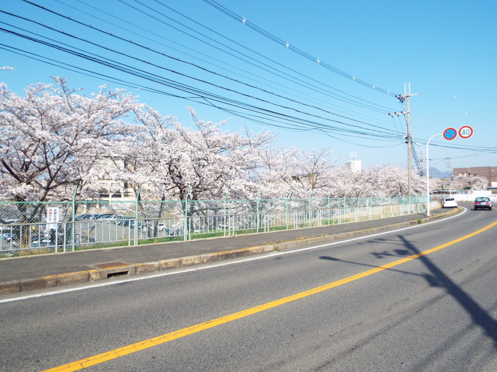 f:id:aigawa2007:20180328152558j:plain f:id:aigawa2007:20180328152558j:plain
