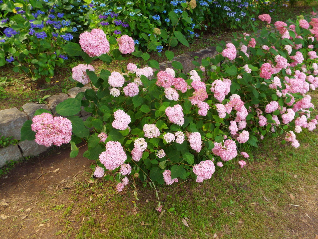 f:id:aigawa2007:20180613141850j:plain