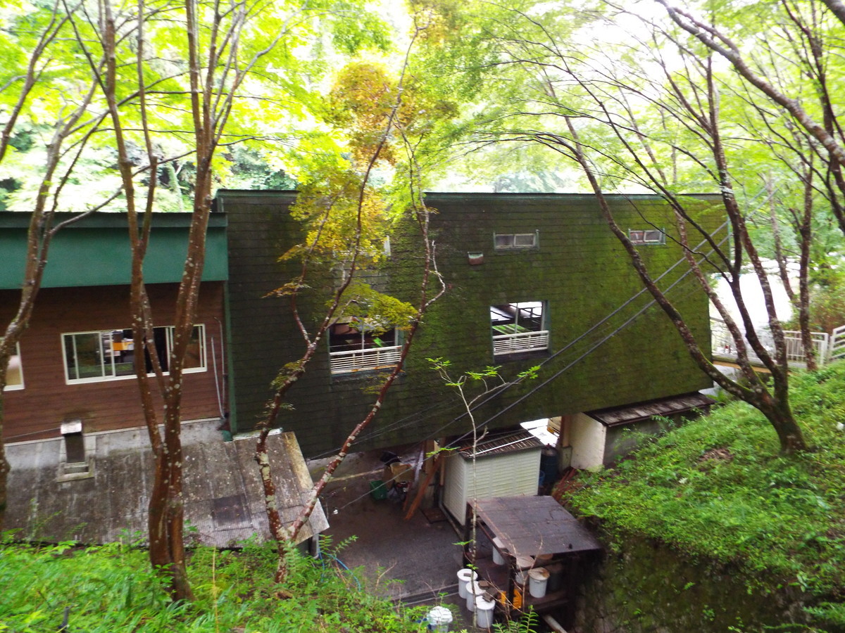 f:id:aigawa2007:20190701133315j:plain f:id:aigawa2007:20190701133315j:plain