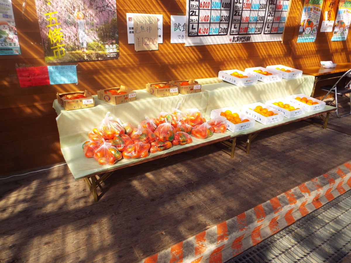 f:id:aigawa2007:20191108120238j:plain