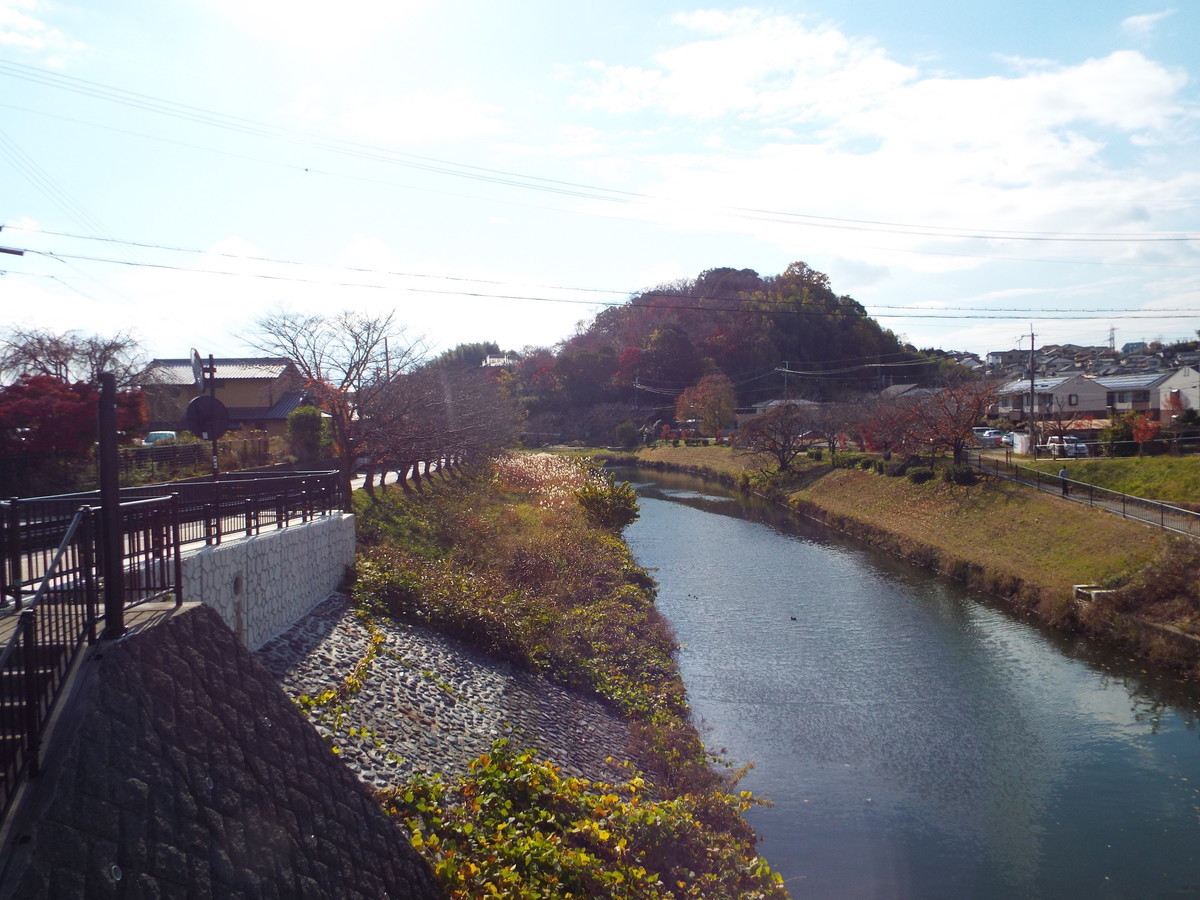 f:id:aigawa2007:20191205124604j:plain f:id:aigawa2007:20191205124604j:plain