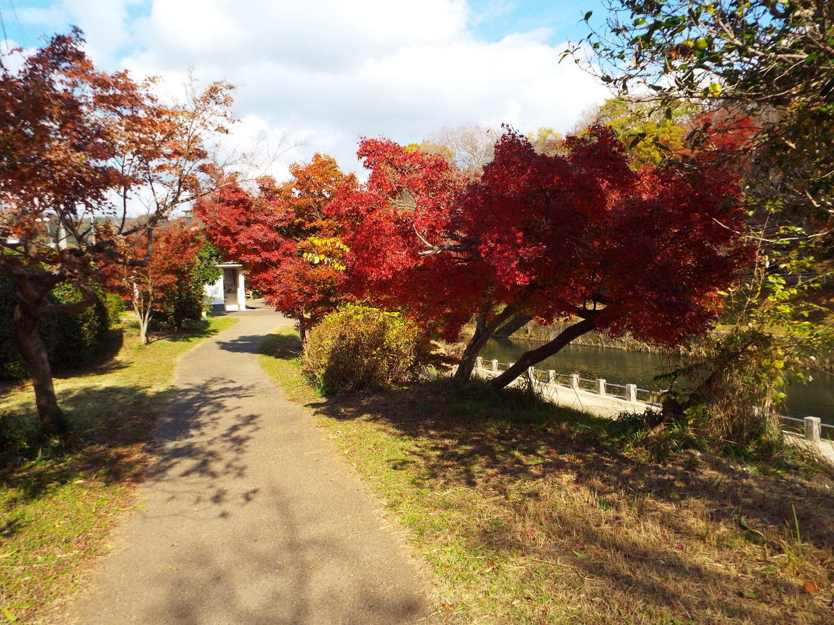 f:id:aigawa2007:20191205124834j:plain f:id:aigawa2007:20191205124834j:plain