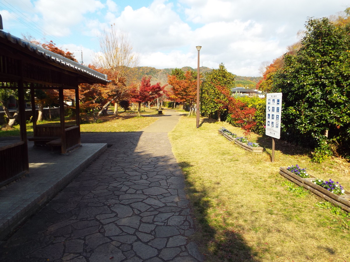 f:id:aigawa2007:20191205124944j:plain f:id:aigawa2007:20191205124944j:plain