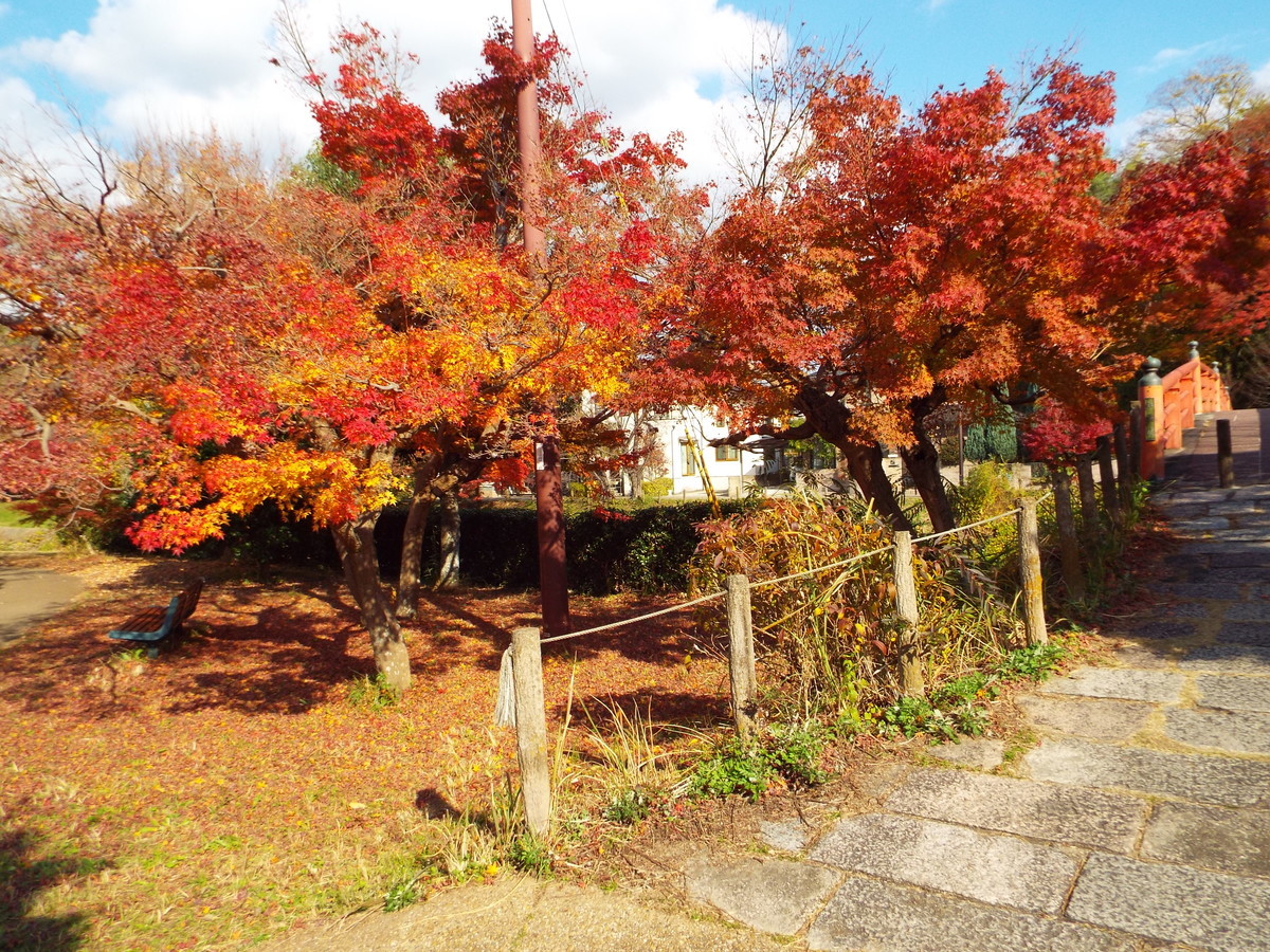 f:id:aigawa2007:20191205125103j:plain f:id:aigawa2007:20191205125103j:plain