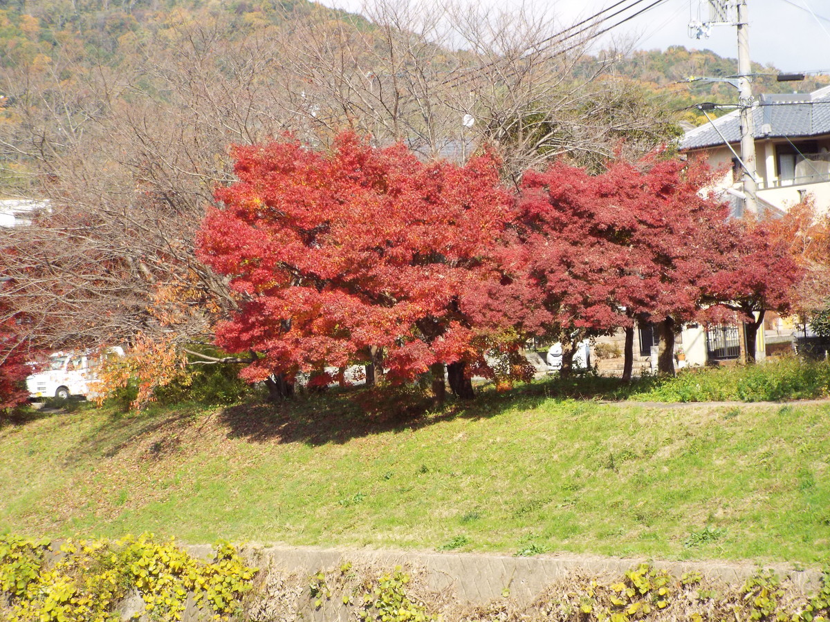 f:id:aigawa2007:20191205125205j:plain f:id:aigawa2007:20191205125205j:plain