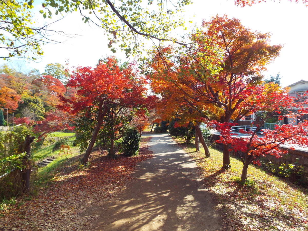 f:id:aigawa2007:20191205125237j:plain f:id:aigawa2007:20191205125237j:plain