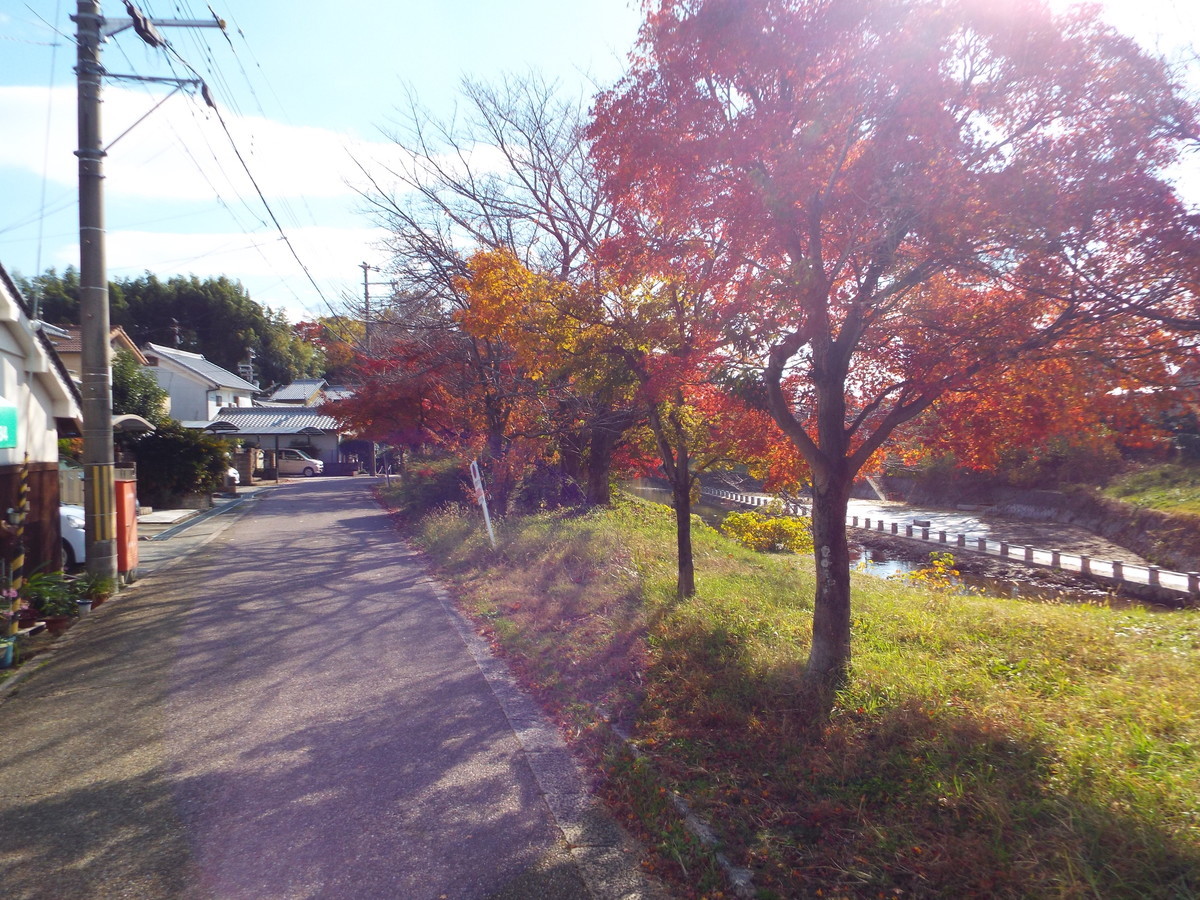 f:id:aigawa2007:20191205125626j:plain f:id:aigawa2007:20191205125626j:plain