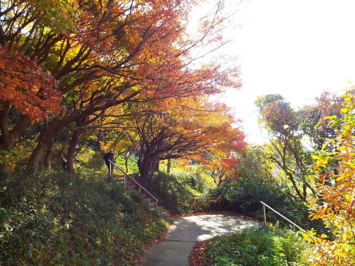 f:id:aigawa2007:20191205130111j:plain f:id:aigawa2007:20191205130111j:plain