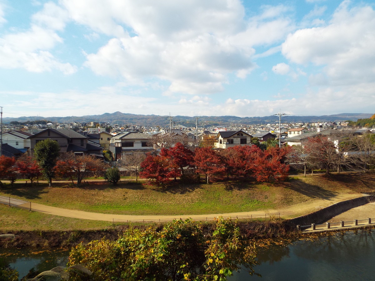 f:id:aigawa2007:20191205130219j:plain f:id:aigawa2007:20191205130219j:plain