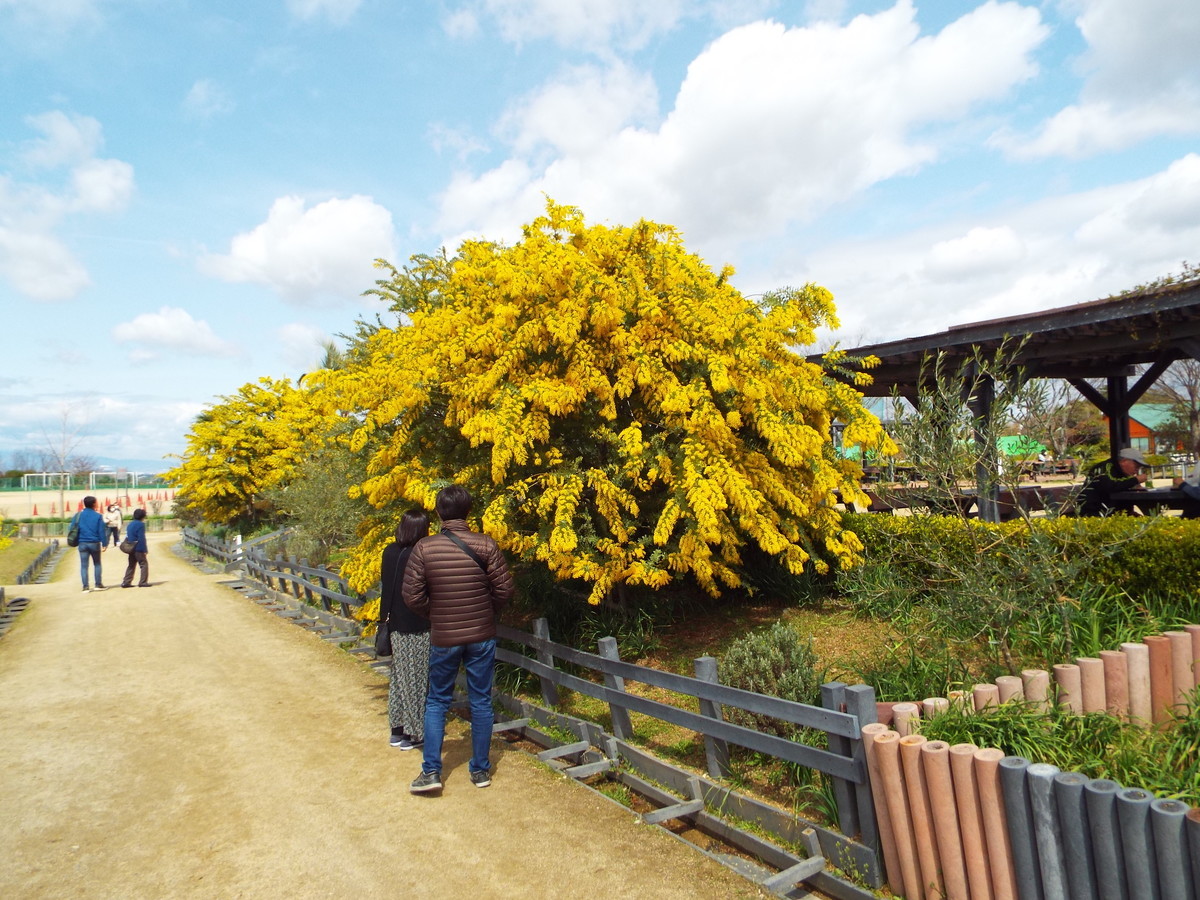 f:id:aigawa2007:20220320121301j:plain