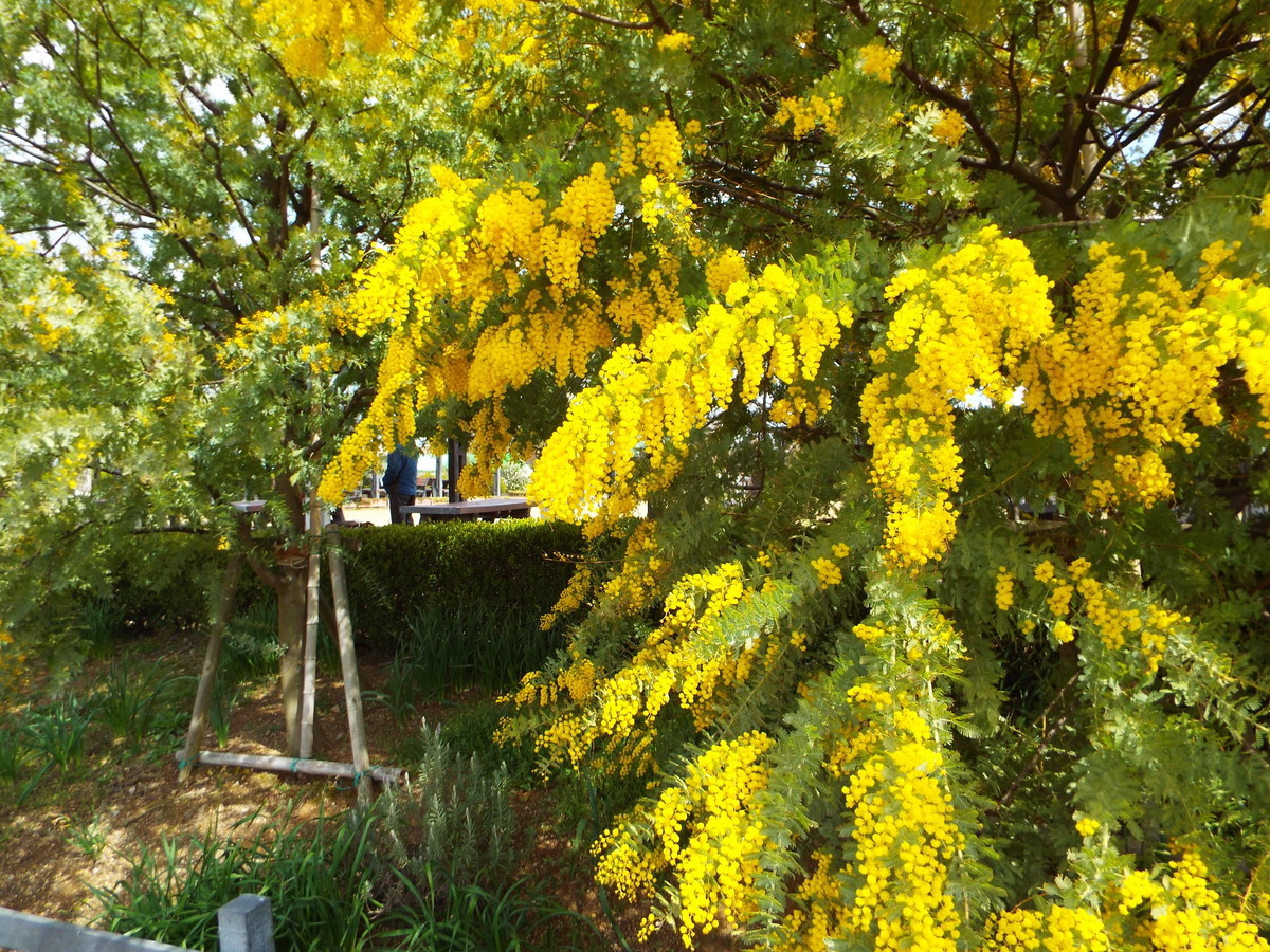 f:id:aigawa2007:20220320121312j:plain