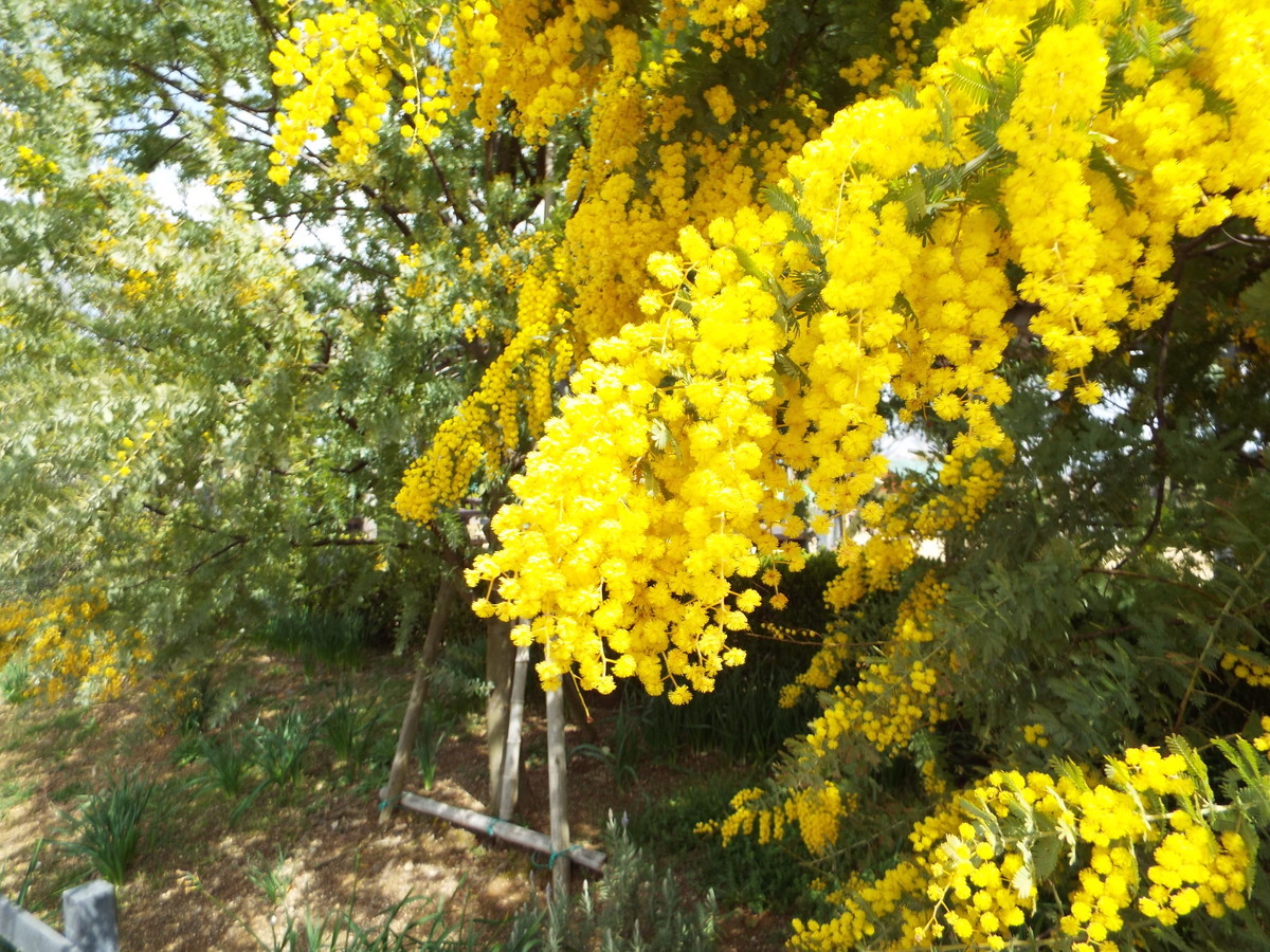 f:id:aigawa2007:20220320121333j:plain